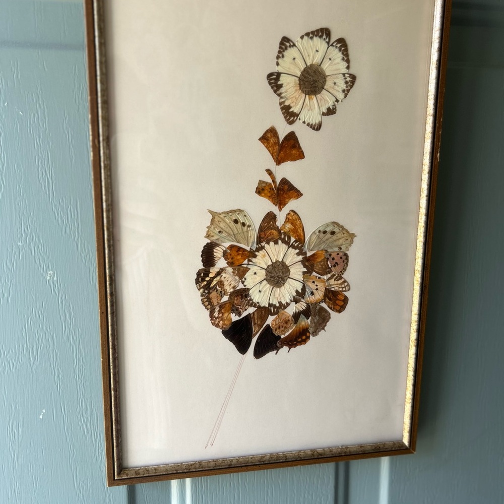 Framed Mixed Media Butterfly Art in Brown and Cream